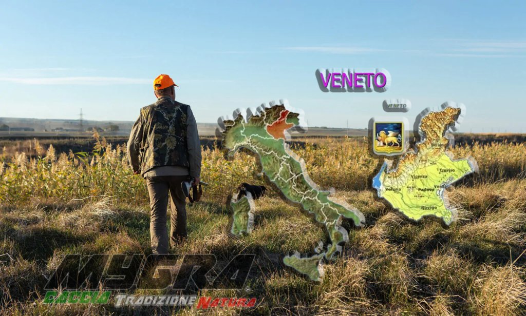 CACCIATORE cv veneto.jpg