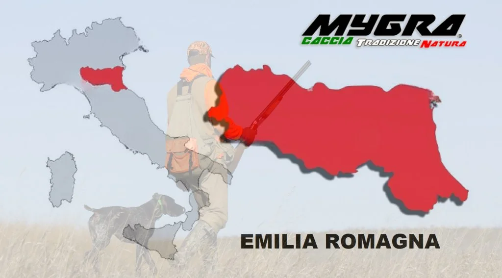EMILIA ROMAGNA.webp