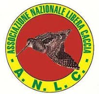 download anlc.webp