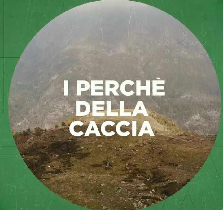 I PERCHE  DELLA CACCIA OK MIGRATORIA.webp
