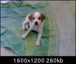 07092009040_th.jpg