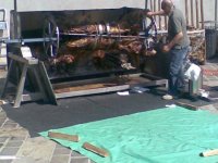 Io con il toro da 300 kg.jpg