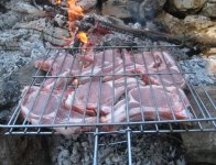 IMG_1389.jpg