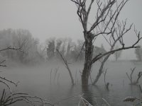 21 dicembre2009 -13 gradi 031.jpg
