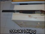gamma 20-2.jpg