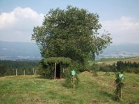 DSCF0753.JPG