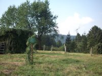 DSCF0754.JPG