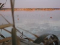 IMG_1050.JPG