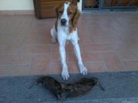 art&#249; 30.11.2011.jpg