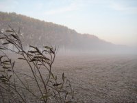 IMG_2624.jpg