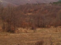IMG_20111210_132602.jpg