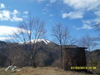 SDC13878.jpg