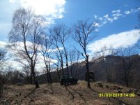 SDC13879.jpg
