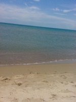 Mare ginosa .jpg