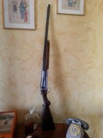 cosmi 12.jpg