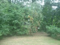 2013-08-19 15.42.06.jpg