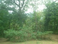 2013-08-19 15.42.10.jpg