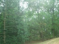 2013-08-19 15.42.27.jpg