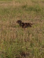 IMG_2289.jpg