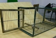trappola4-300x270.jpg