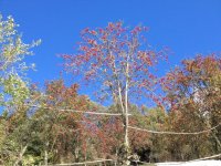 IMG_2578.jpg