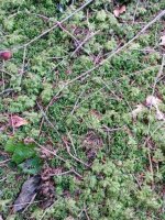 IMG-20140329-WA0011.jpg