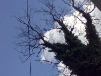 310320141127.jpg