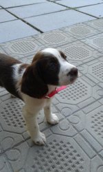 20140602_164907.jpg