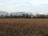 IMG_0213.JPG