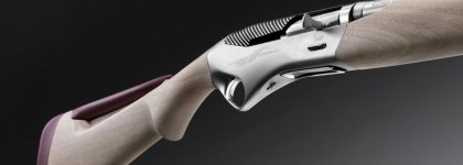 swan benelli2.jpg