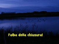 P1200004.jpg