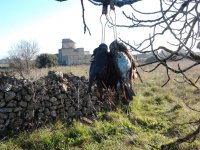 masseria tonda.jpg