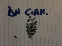 Immagine 002.jpg