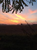 tramonto 1.jpg