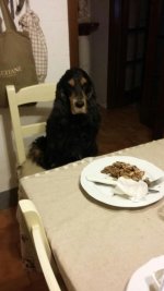 a tavola.jpg