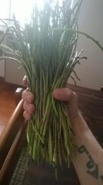 WP_20160206_002.jpg