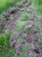 20160522_071432 (FILEminimizer).jpg