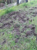 20160522_071420 (FILEminimizer).jpg