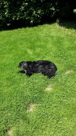 dream al sole1.jpg