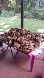 IMG-20161001-WA0005 (FILEminimizer).jpg