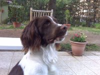 dotto 4.jpg