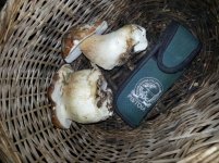 20170916_111645 (FILEminimizer).jpg