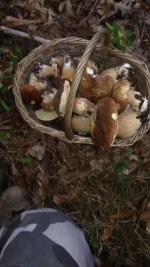 IMG-20170929-WA0011.jpg