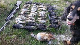 pako 1°scaccia 2017.jpg