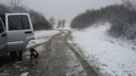 neve.jpg