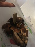 ImageUploadedByTapatalk1527966165.932.jpg