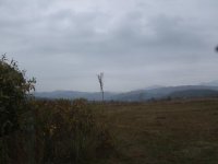 DSCF0023.JPG