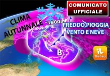CDA58564-3D4C-43DA-9400-1EF794274965.jpeg