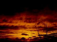 alba_inverno_2004_1024.jpg