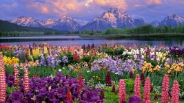 Grand-Teton--Wyoming.jpg
